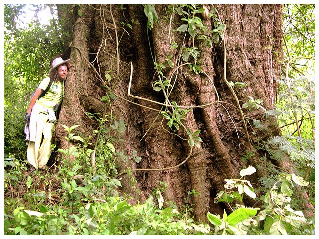 tucuman_escaba_yungas