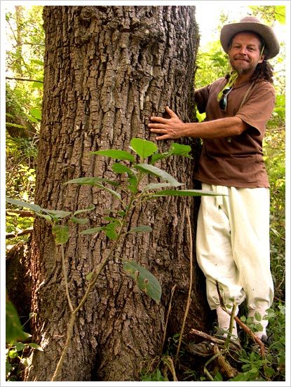 tucuman_escaba_yungas