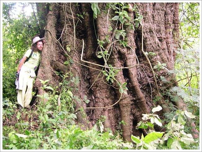 tucuman_escaba_yungas