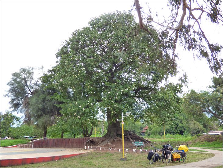 i99_07_mundo_en_bicicleta_urundel_salta